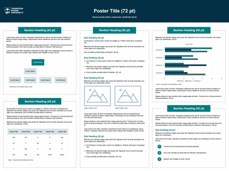 Example Poster Submission